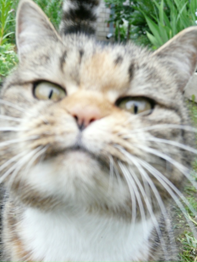 Зина и настроение!)))