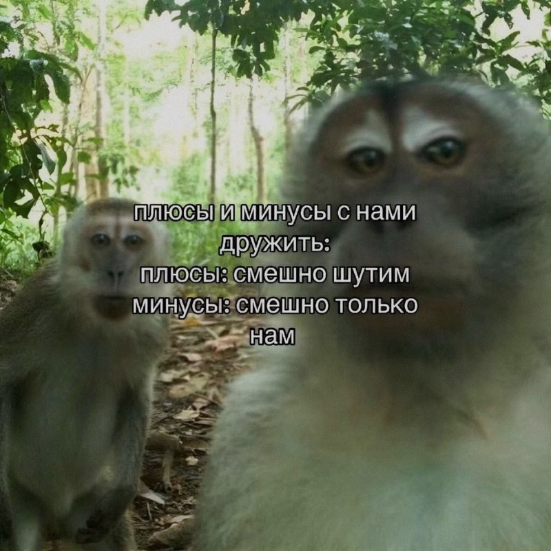 Ночная подборочка
Спать, режим