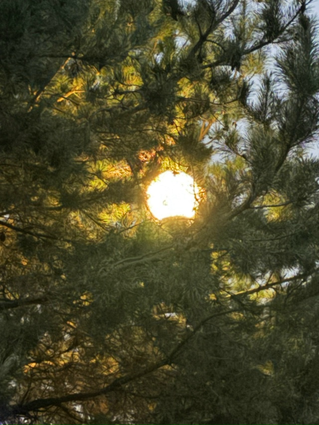 Набережная Спутника и в наступивших сумерках хороша!???...