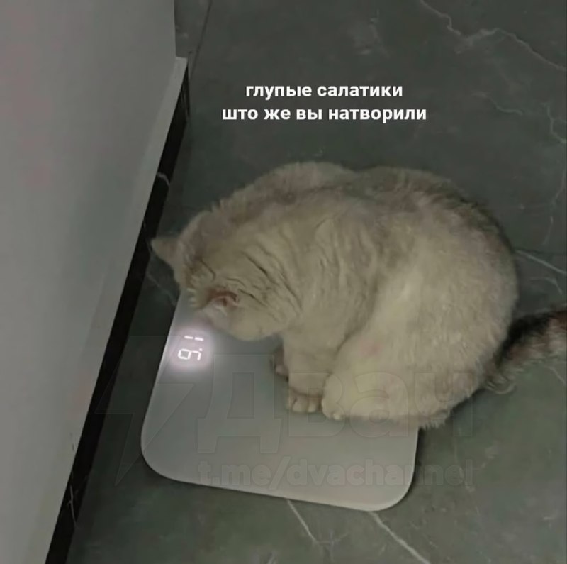 Ежегодная классика