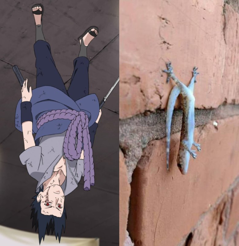 🦎Одна энергия