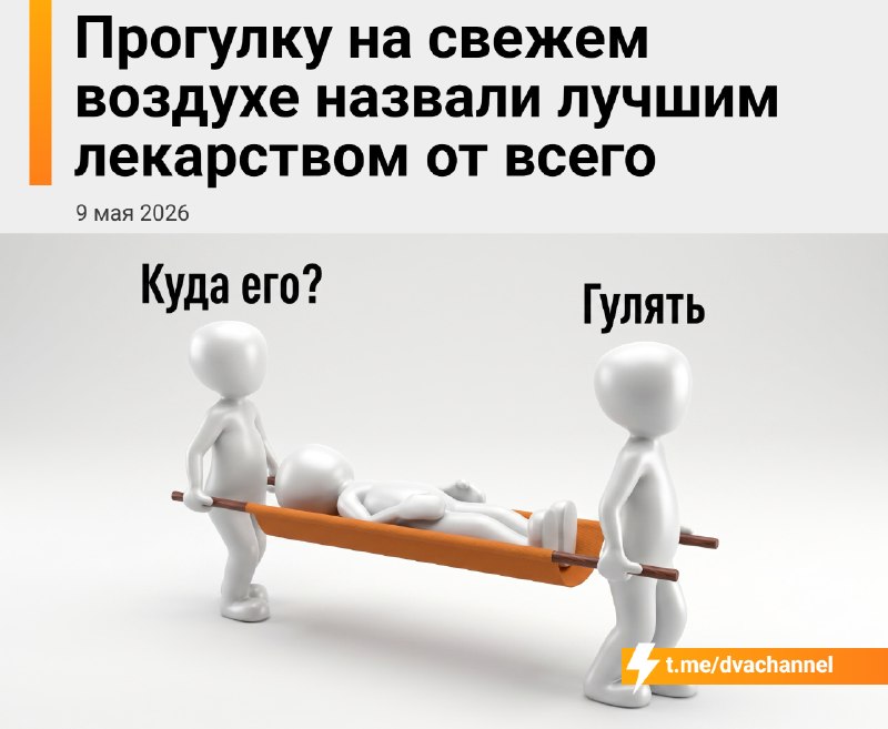 Ходить пешком — это реально бесплатная таблетка от всех бед
Учёные говорят, что обычная прогулка ра