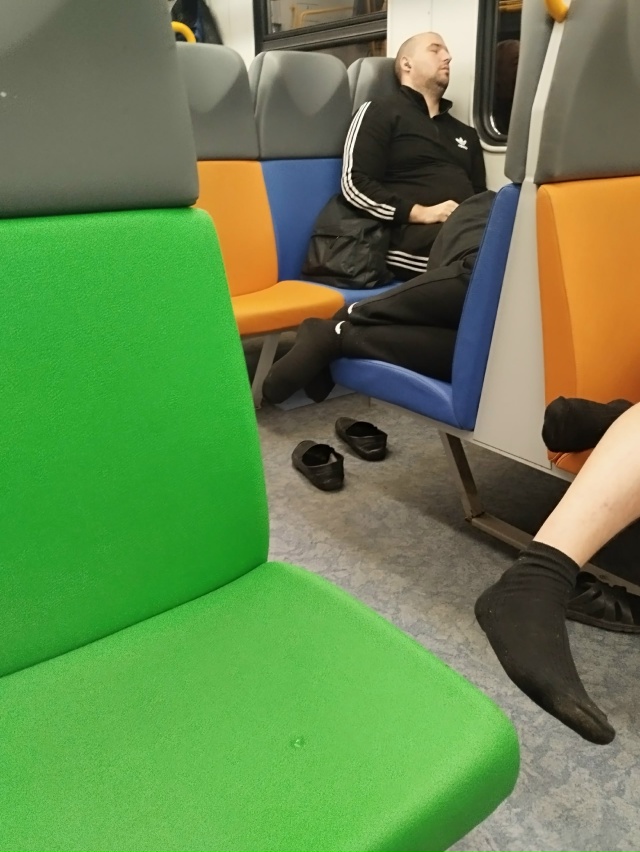 Товарищи! А давно у нас в электричках на Москву такой у?...