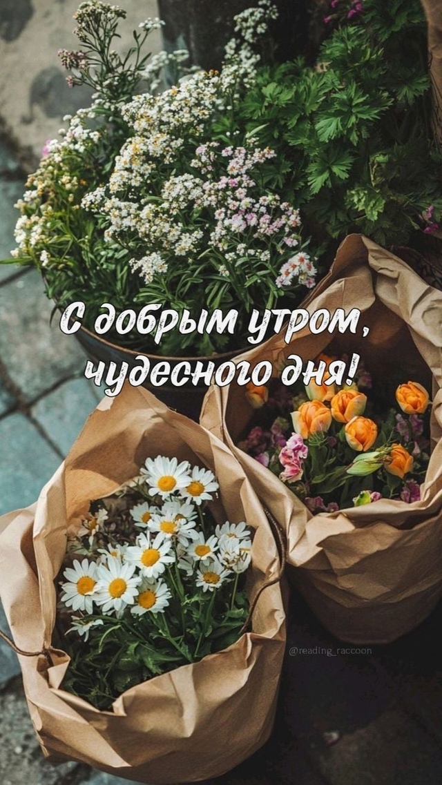 Доброе утро Подслушано!