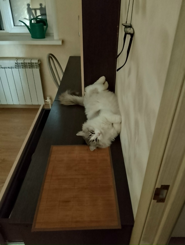 Кося, бог комода! 🤗