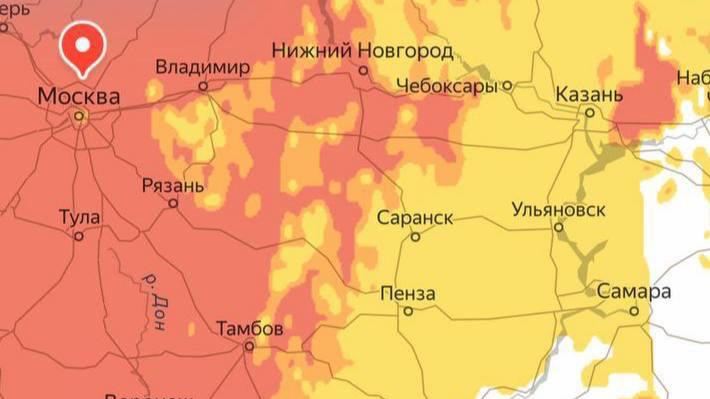 ❗️Опаснейшая амброзия начала цвести на юге России, на днях дойдет и до Москвы
Пыльца этого сорняка