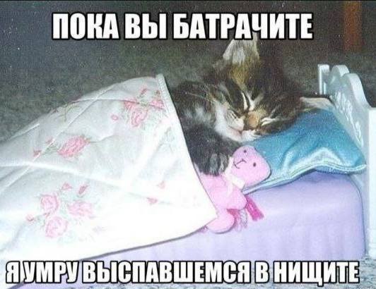 Утренняя подборочка