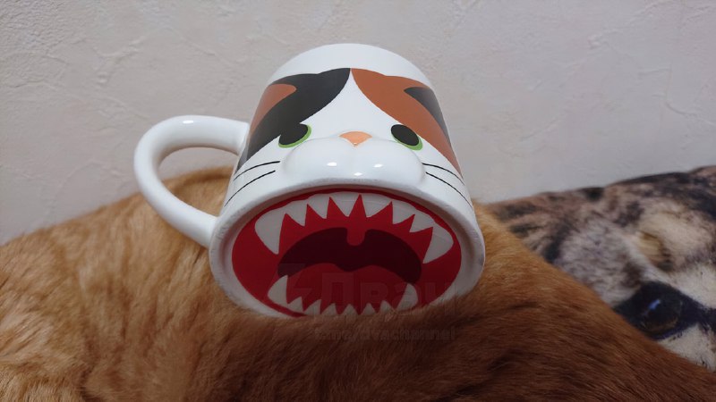 Обнаружена идеальная кружка для офиса