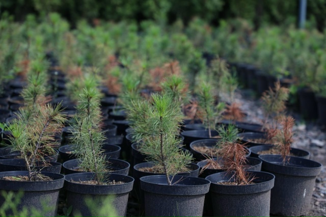 В 2025 году Вологодская область успешно справилась с зад...