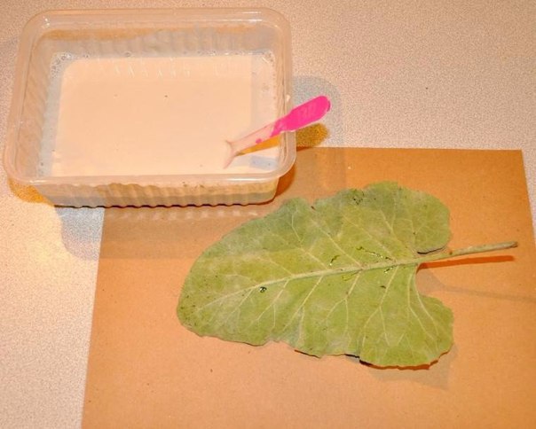 Оригинальное блюдо 