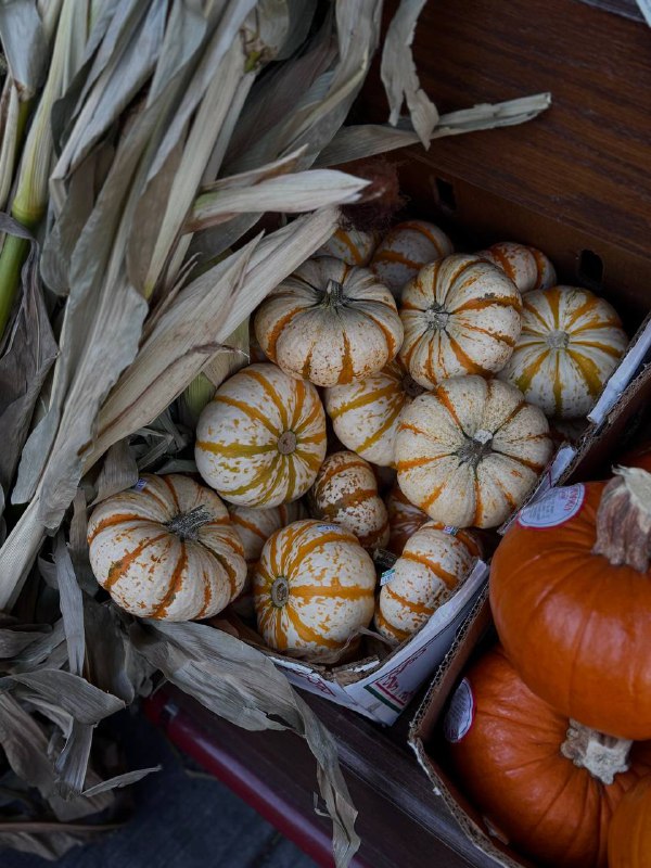 Девочки, сегодня отмечается Хэллоуин Тыквенный спас.
Запасаемся вкусняшками и делаем подборку хорр