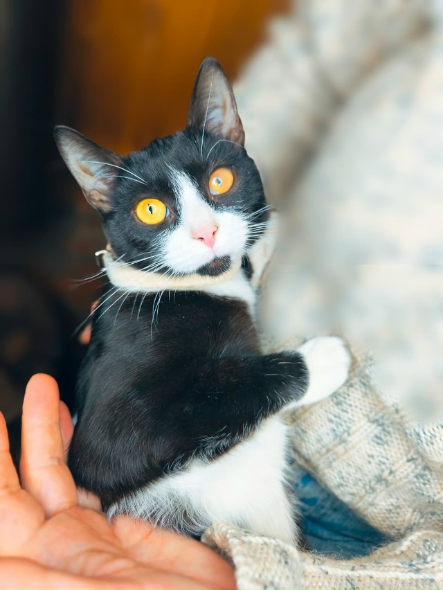 Сестрицы Милашка и Кнопочка, очаровательные девчонки ?...