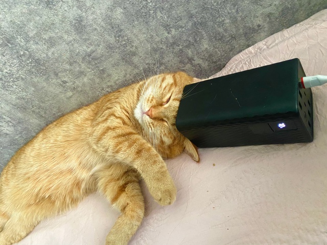 Котенька на подзарядке для ночного тыгдыг 🐈 🔌