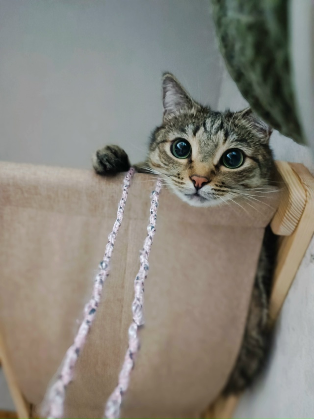 Извините,а обед какой-то будет?)