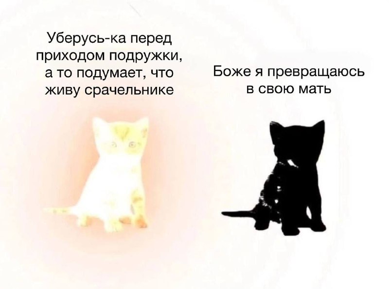 Утренняя подборочка