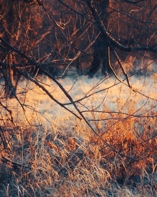 Удивительно, как становится легко, если позволить всем...