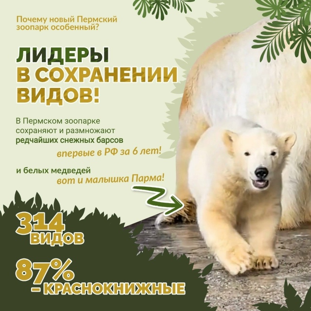 😍 Родители, готовьте детей к восторгу!
Новый зоопарк ...