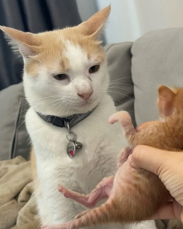 Ты чё мне суёшь, кожаный?
Иди положи где взял!
=»>