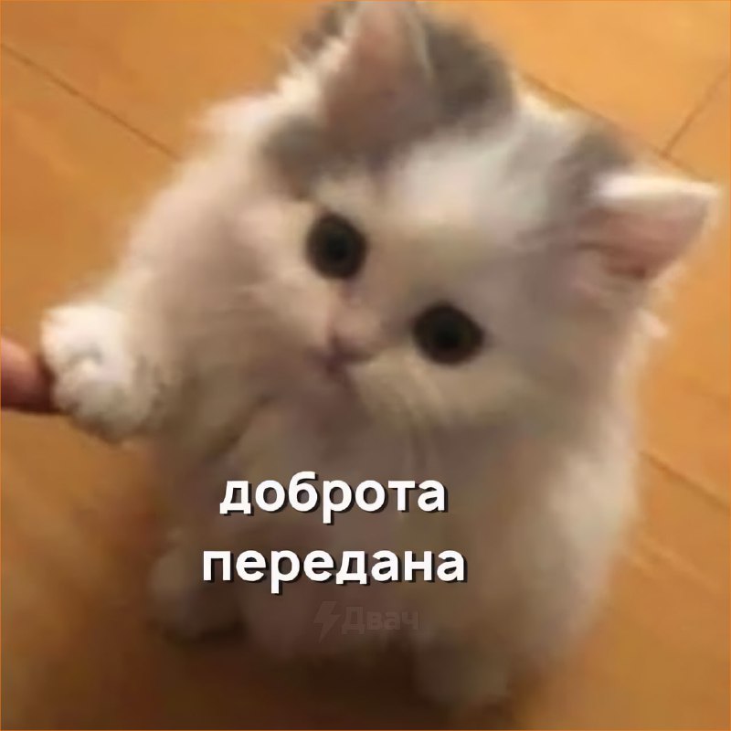 Сегодня отмечается Всемирный день доброты