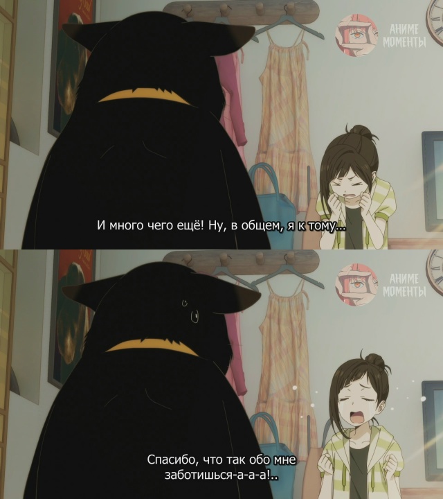 Кот, мастер на все лапки, сегодня снова грустит 🎬 2 сер?...