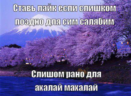 Утренняя подборочка