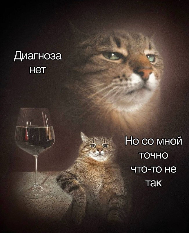 Утренняя подборочка