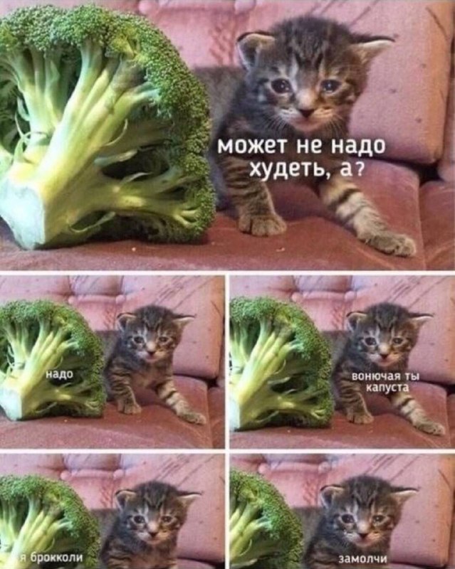 Брокколи — самый полезный овощ в мире — центр по контролю заболеваний США присвоил ему высший балл 1