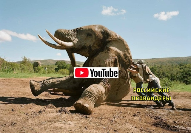 ▶️ YouTube опять заработал у некоторых россиян!
📺 Польз?...