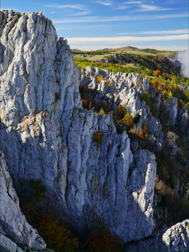 Перья Хапхала 🇷🇺