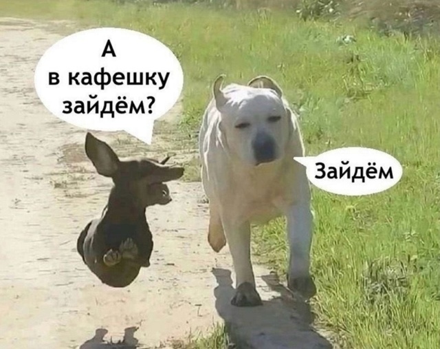 Тяжело мужчинам порой приходится