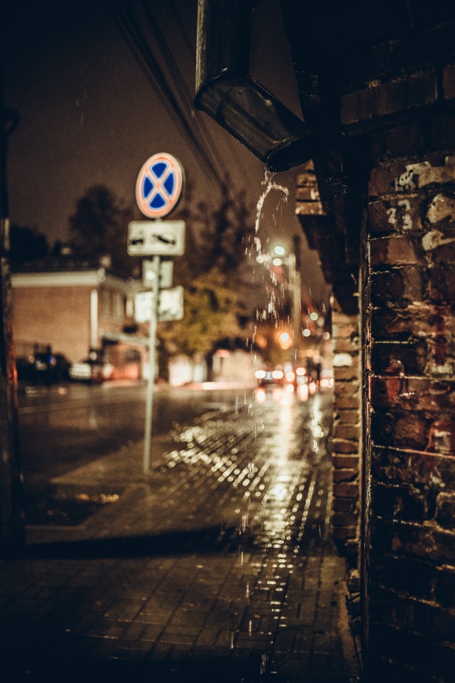 ☔Дождливый Воронеж прямо сейчас🍂