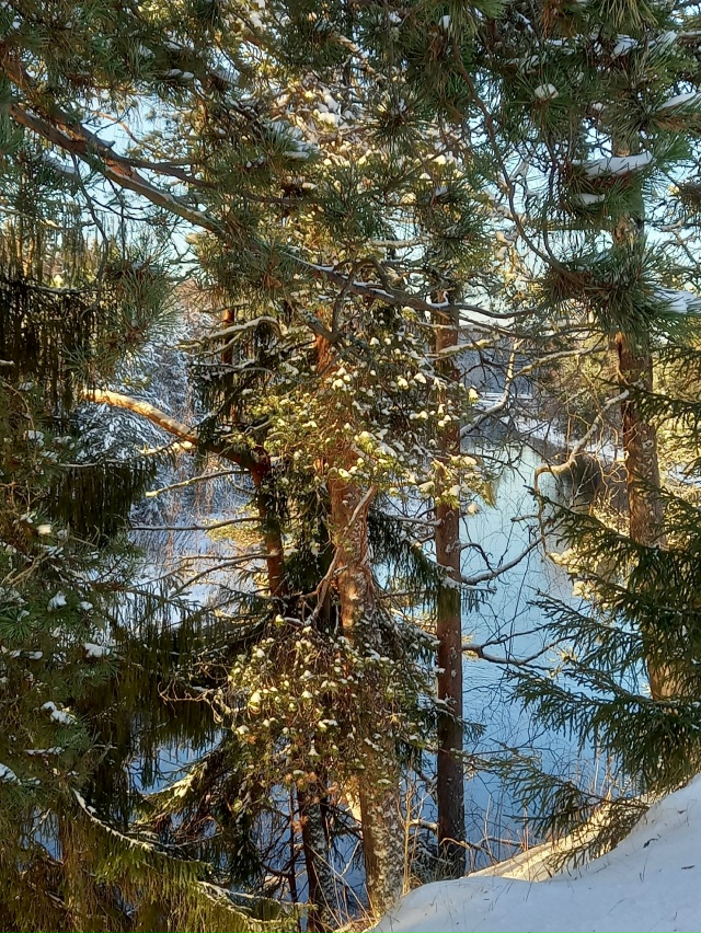 Доброй ночи, Никольск❤