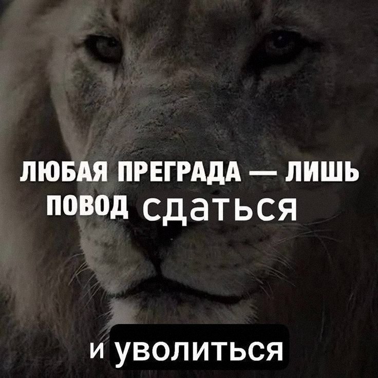 Утренняя подборочка