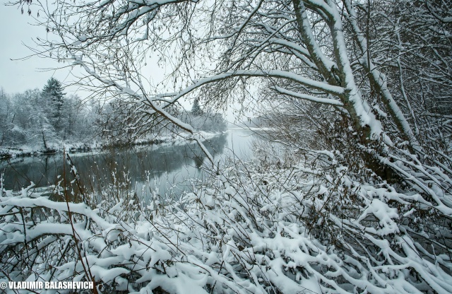 Начало зимы на Кокшеньге ❄😍
📍Архангельская область,...