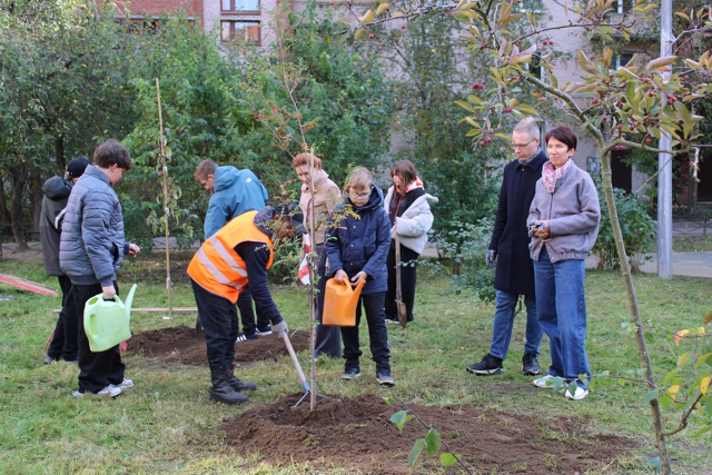 В Петергофе по заказу муниципалитета завершились комп...
