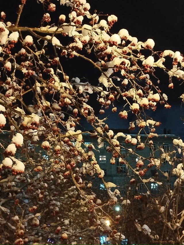 ✨ Дoбpoй нoчи, гopoд N!
Φoтo: Ингa Рaдугa