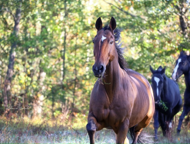 Друзья, у нас на 