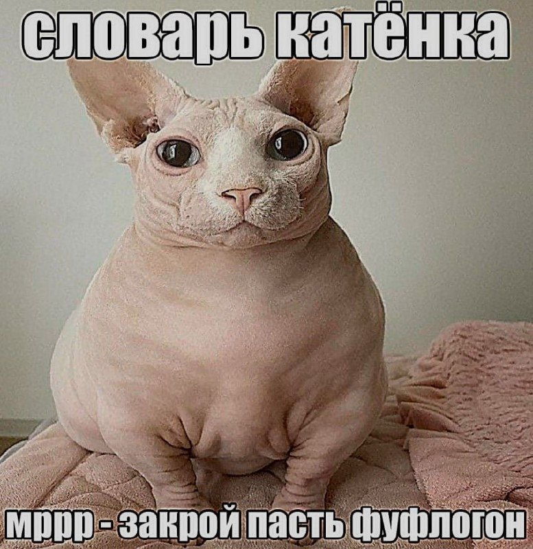 Ночная подборочка
Выходные, не спим