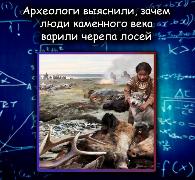 Зачем люди каменного века варили черепа лосей
Археоло...