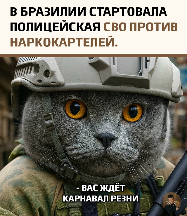 Полиция Бразилии объявила о начале крупномасштабной о...