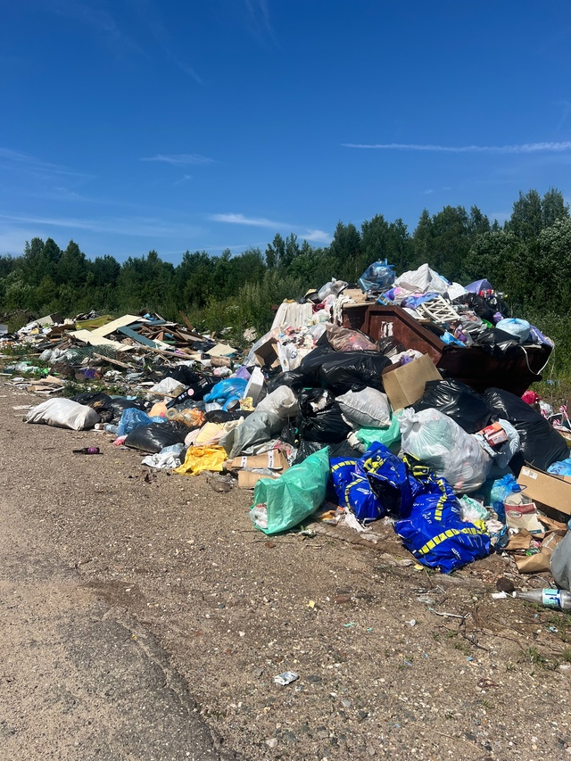 Переславский район,деревня Щербинино.Неделями не выво...