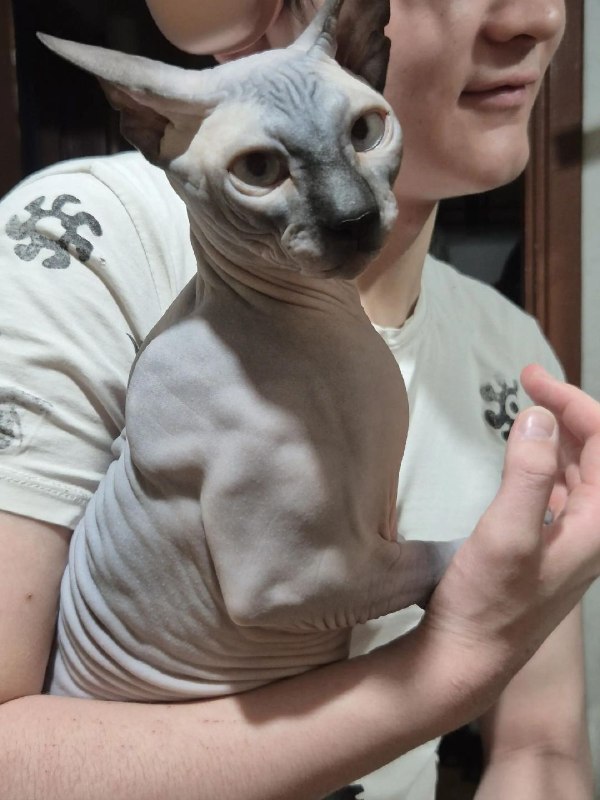 Какой же он мощный