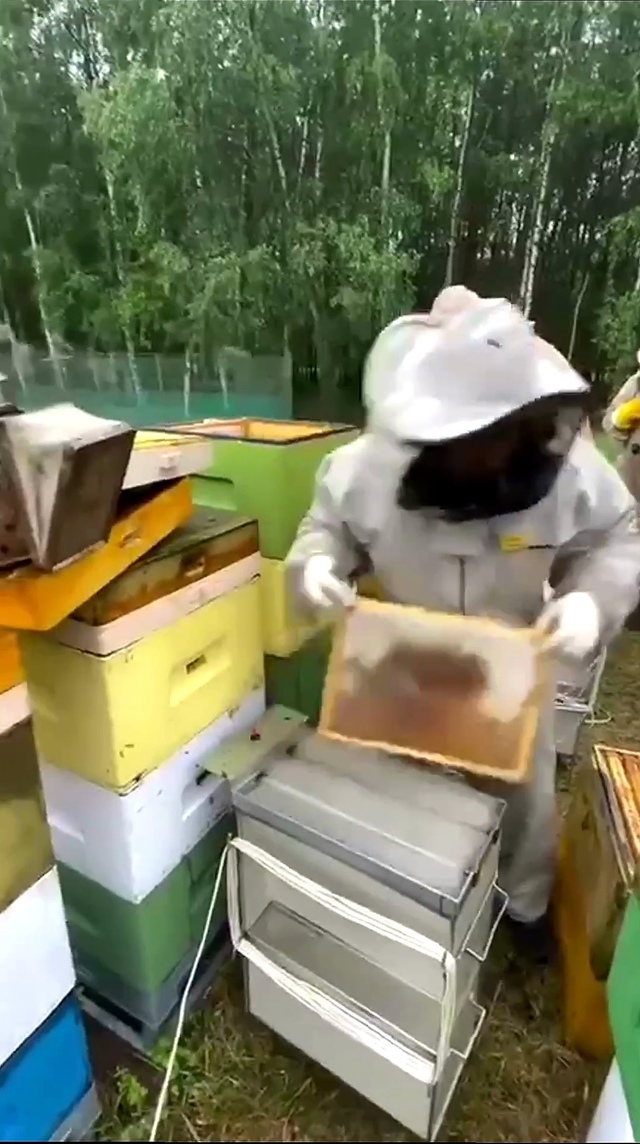 Натуральный мед высокого качества! 👍️