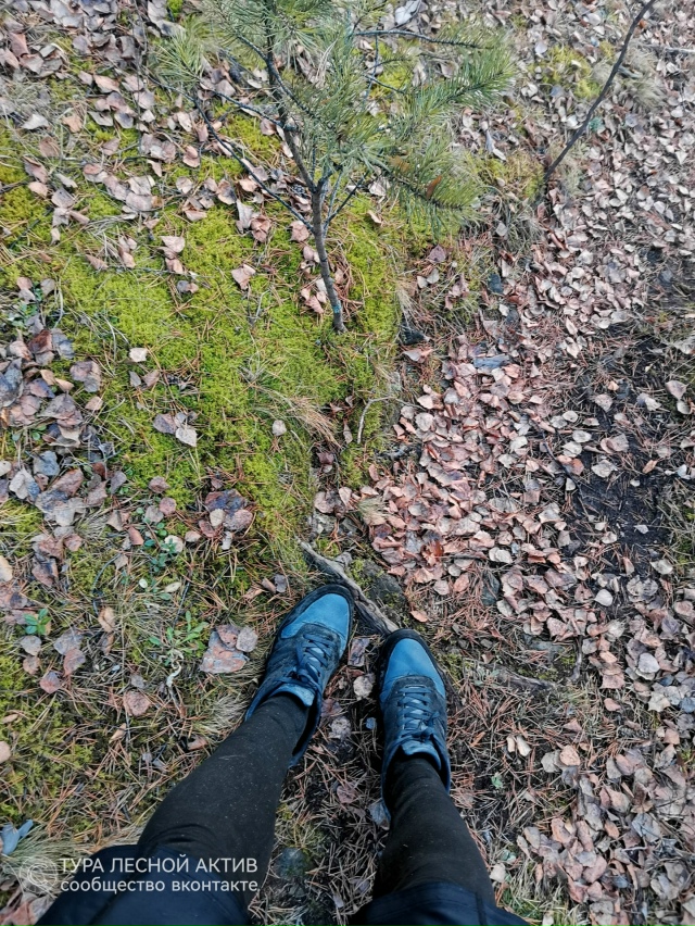 Осень! Красавица! Осень! ❤️🍁🍂
Ты вновь подарила немн...