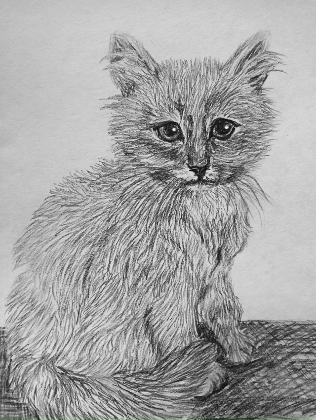 Пушистость
Простой карандаш📝