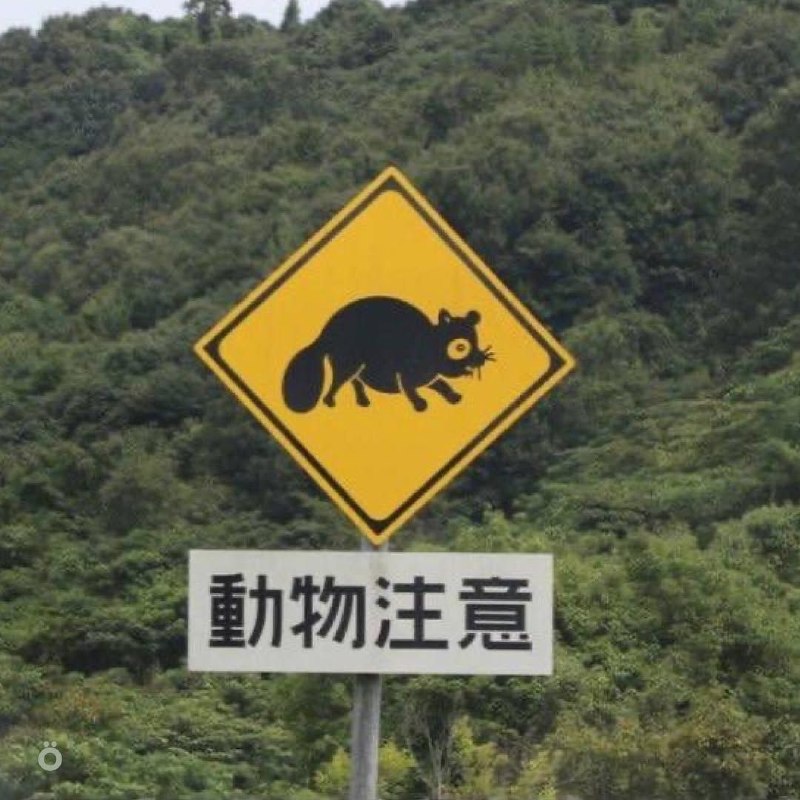 В Японии дорожные знаки предупреждают не только о поворотах и машинах, но и о животных — на трассах