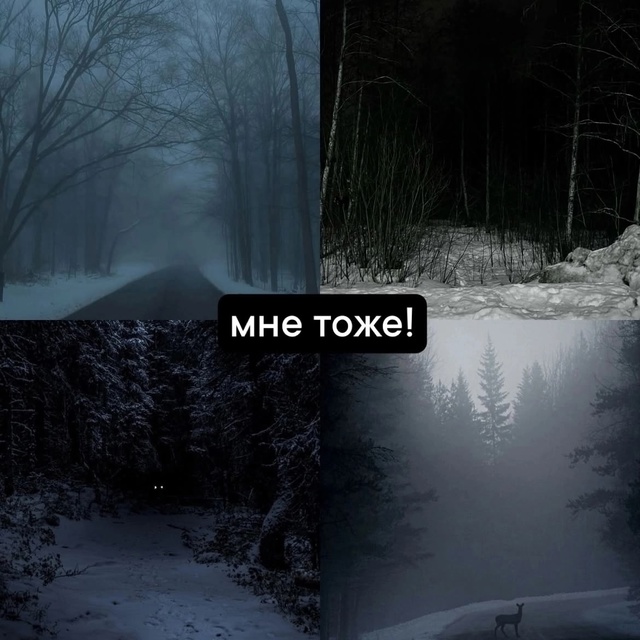 Два разных мира...