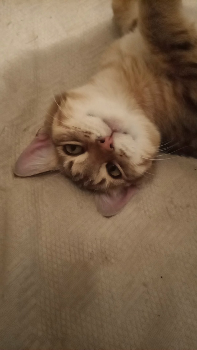 Лиска довольна, а весь мир подождет)