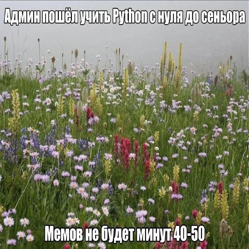 Утренняя подборочка