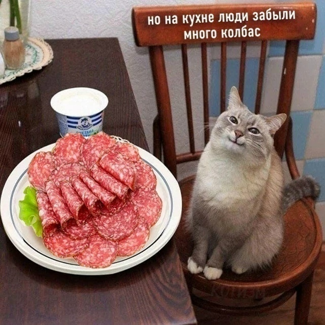 Цoй пo-котeйски (полная версия)